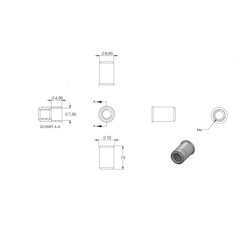 Blind-Einnietmutter, V2A, M6, 10er Pack