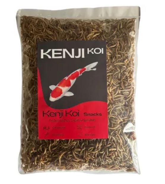 KENJI KOI Mehlwürmer 5Liter Koifutter (EUR 4,10 / l)