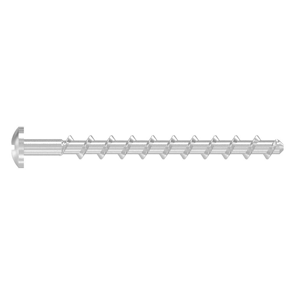 Spanplattenschraube, 4 x 50mm, ISO 88096, 10er Pack